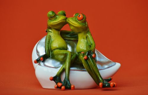 frogs lovers funny