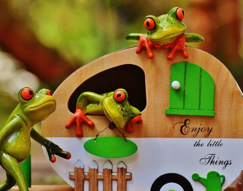frogs caravan funny