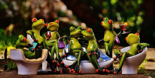 frogs party celebrate