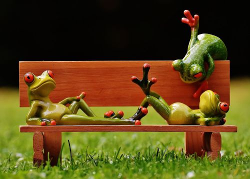 frogs bank bench