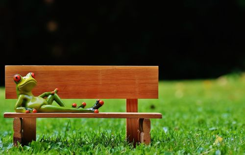 frogs bank bench