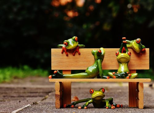 frogs yoga bank