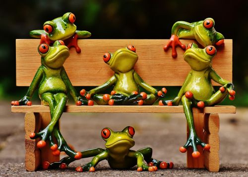 frogs sociable bank