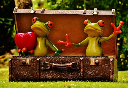 frogs homesickness travel