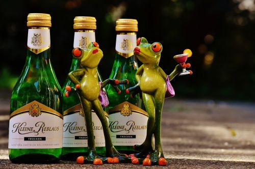 frogs wine drink