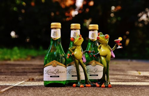 frogs wine drink