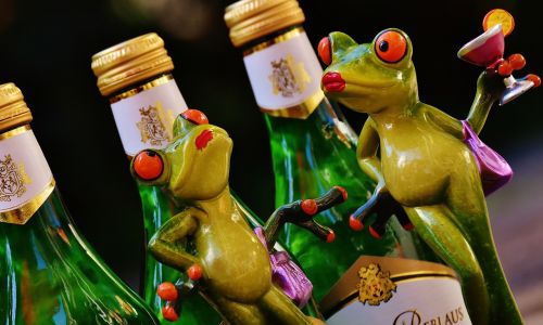 frogs wine drink