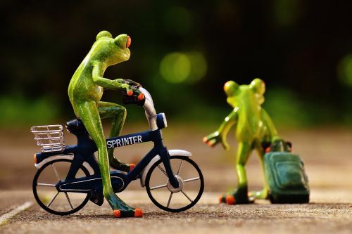 frogs farewell bike