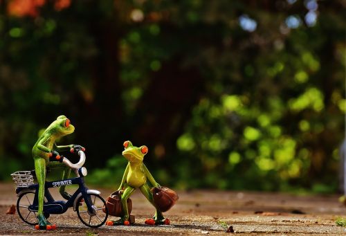 frogs arrive bike