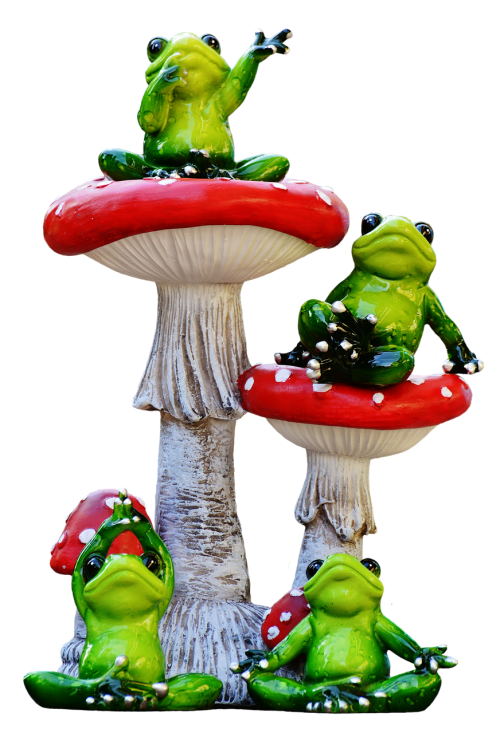 frogs funny mushrooms