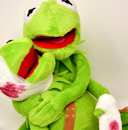 frogs injured kermit