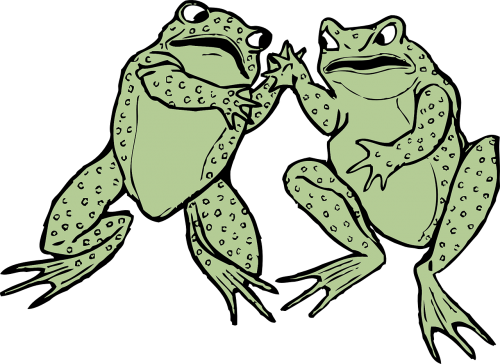 frogs green grey
