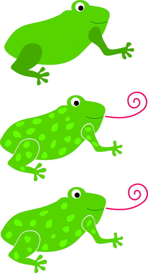 frogs green three