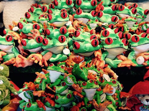 frogs amphibian toys
