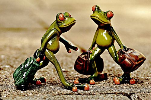frogs vintage funny