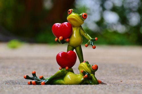 frogs pair love