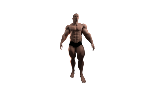 front view 3d avatar muscles