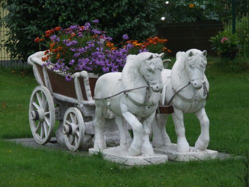 front yard flowers coach