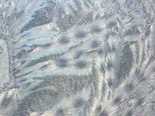 frost window pattern