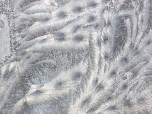 frost window pattern