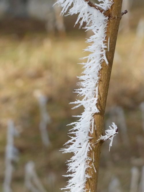 frost snow ice