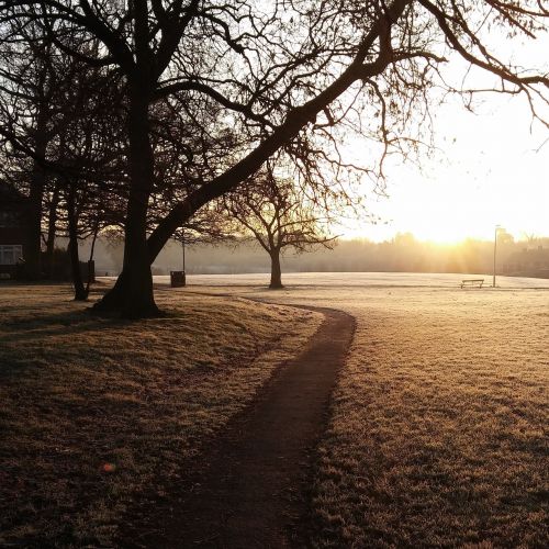 frost morning fresh