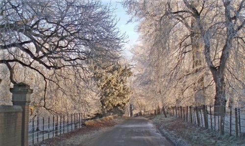 frost warwickshire winter