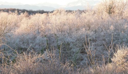 frost gel winter