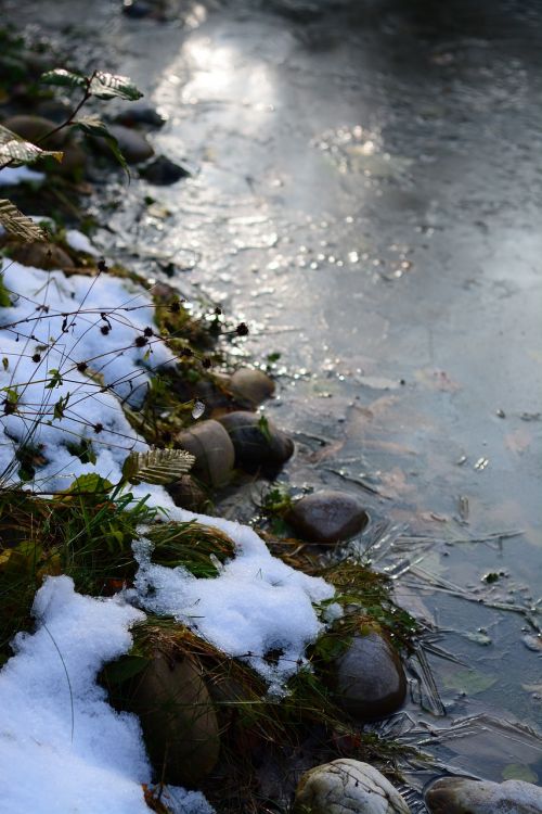 frost pond po