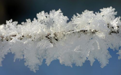 frost winter hoarfrost
