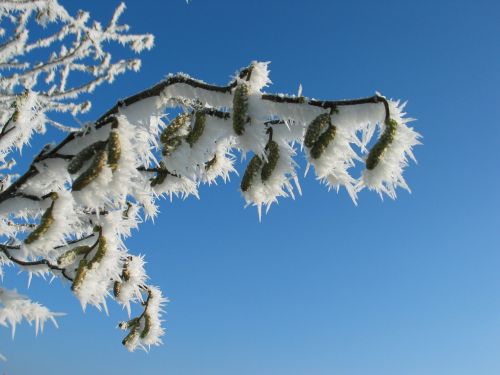 frost sun ice