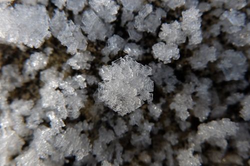frost crystal ice