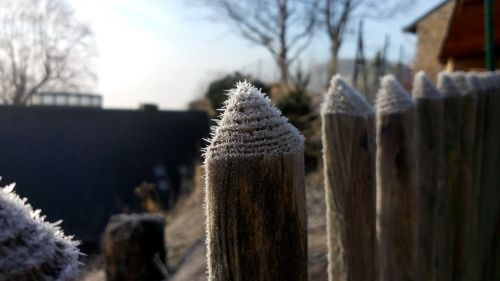 frost garden fence morning