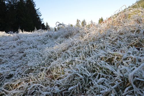 frost ice winter