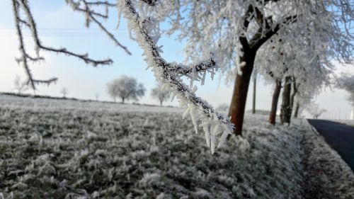 frost new year winter