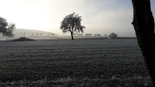 frost snow landscape