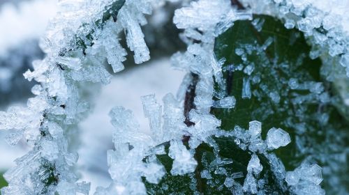 frost winter snow