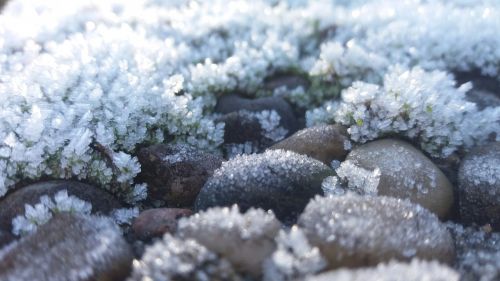 frost winter snow