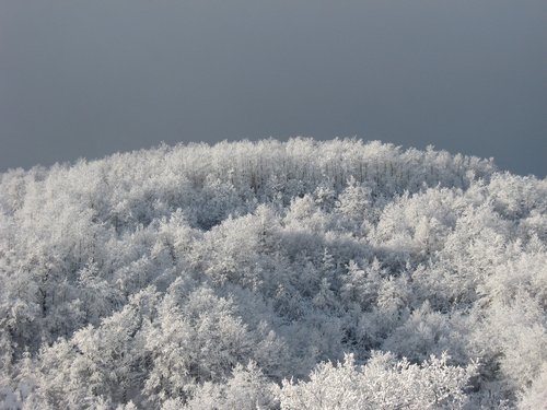 frost  winter  snow
