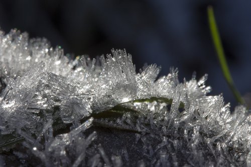 frost  ice crystal  winter