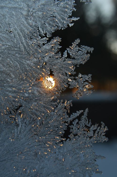 frost window winter