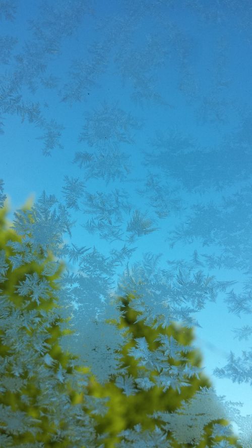 frost window car