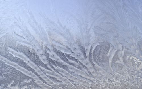 frost pattern winter