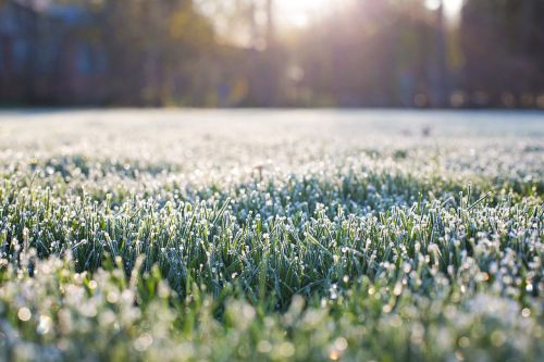 frost on grass early morning frost