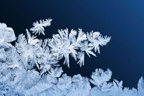 Frost Patterns On Windows