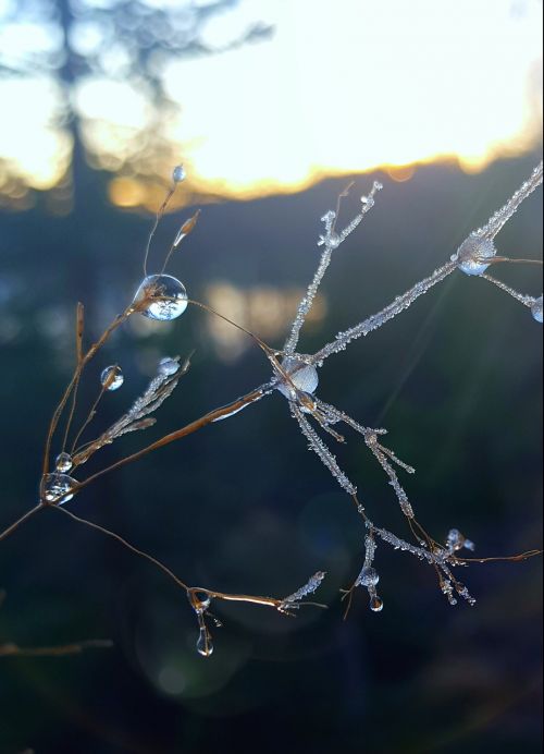frosty ice drop