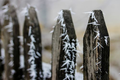 frosty fence frost winter