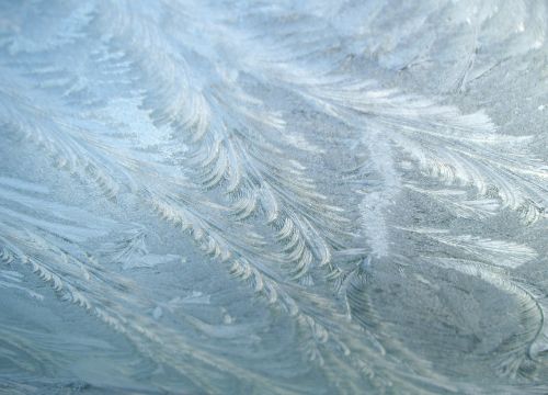 frozen frost ice