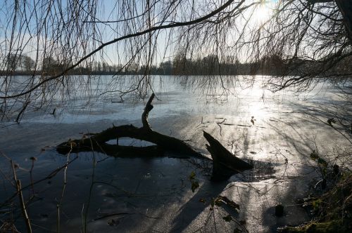 frozen sea winter