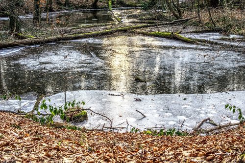 frozen  lake  ice
